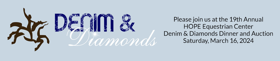 banner-denim-and-diamonds-2024